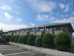 Yーグレースの画像