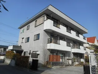 グルービーM2の画像