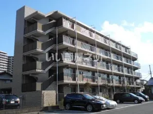 グレープ パルの画像