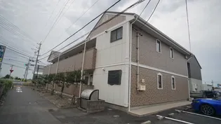 ピュアベルツリーの画像