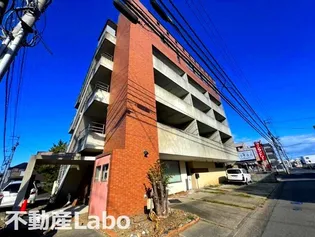 徳島県徳島市南昭和町4【マンション】の外観