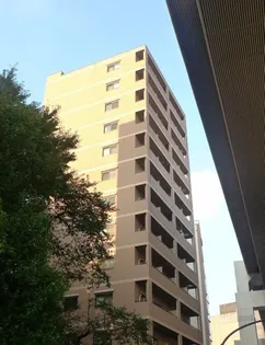 ソリッド大橋【12階】の外観