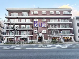 ロイヤルドレイクの画像