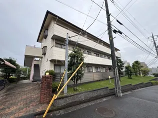 ガーデンルピナスの画像