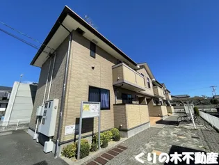 カームリリーの画像