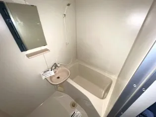 クレッシェンド岸地【2階】の風呂