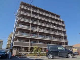 メゾン ダンディの画像