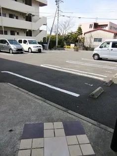 ドラセナ A【2階】の地図