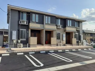 クエイルBの画像