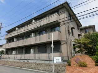 セジュール山の根の画像