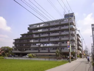 キャピタル キダの画像