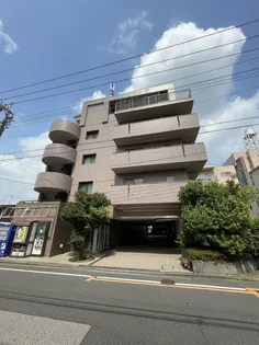 ルートホワイトIIの画像