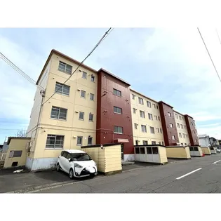 寿ハイツ新生【3階】の外観