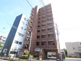 セシーズイシイ20の画像