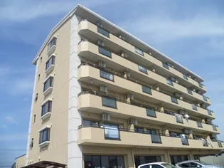 スカイコートの画像