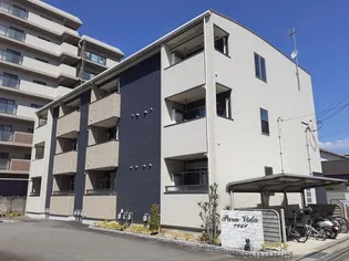 プラビダの画像