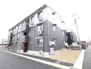 ガーデンルピナスの画像