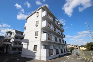 パインハウスII【2階】の外観