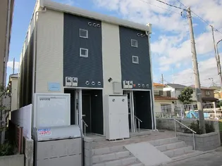 ひまわりの花の画像