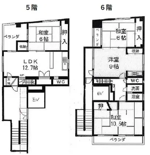 シェラトン八ツ寺の間取り