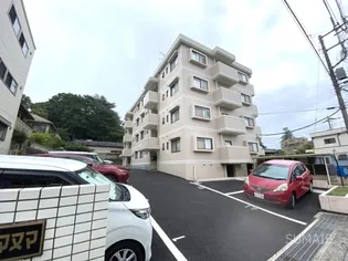 ソシアアマヌマの画像