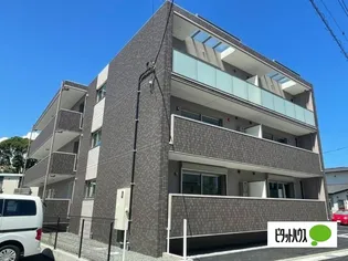 シャインの画像