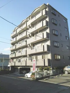 ドリーム パレスの画像