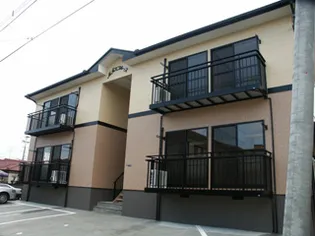 MAスプルースの画像