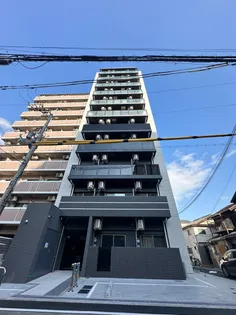 MJC大阪リベルテの画像