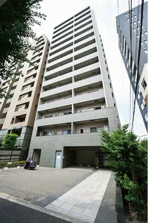 SYNEX HONーKOMAGOMEの画像