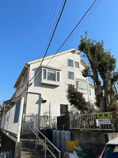 ホワイトウイングIMの画像