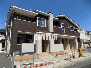 コル レオニスβの画像