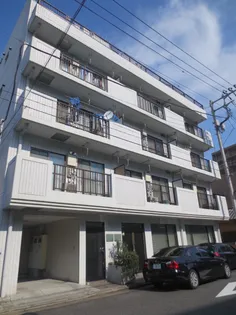 アルファーコートの画像