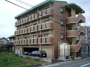 クィーンズマンション光の森の画像