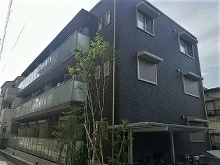 カピリナの画像