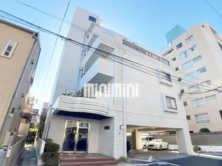 ハイクリプトメリアの画像