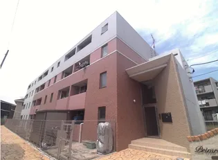 プリムローズ51の画像