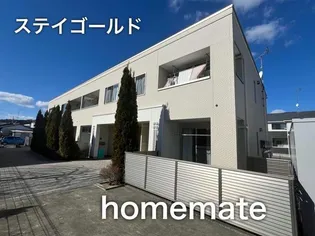 ステイゴールドの画像