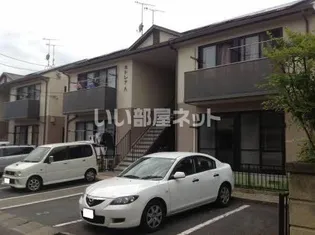 カトレアA,Bの画像