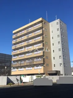 CREA元今泉の画像