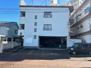 ガーベラコートの画像