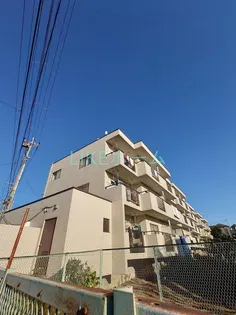 フェアリークリスタル宮本の画像