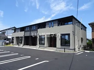 アミアの画像