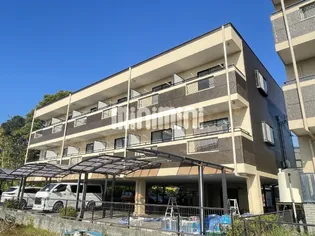 メゾン四季の画像