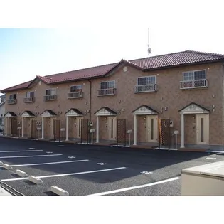 ベルヴェデールの画像