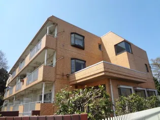 メゾンエクセリアの画像