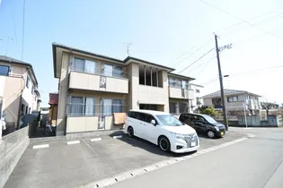 サンパティの画像