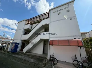 セントポーリア渡鹿の画像