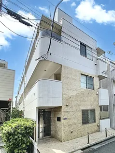 サイプレスの画像