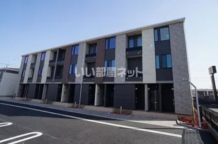 アリウム Bの画像